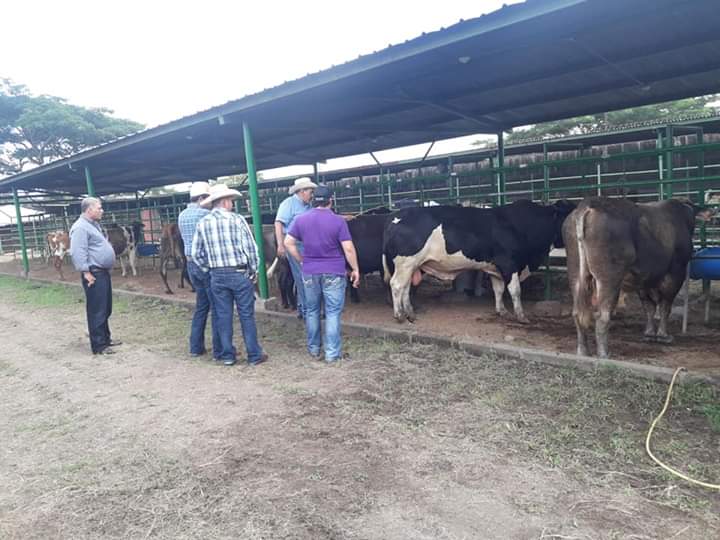 JUIGALPA1